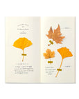 TRAVELER'S NOTEBOOK REFILL 025 MD PAPER CREAM