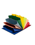 SMALL ACCORDION PRO FILER