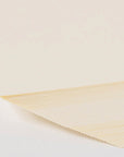 REFILL PLAIN SNAP PAPER FOR A6